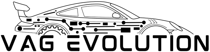 VAG Evolution Retrofit Electrica / Electronica Codari & Adaptari