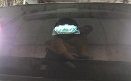 IMG-20201120-WA0017