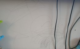 IMG-20211006-WA0006