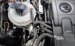 IMG-20211209-WA0012
