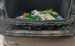 IMG_20221005_135126