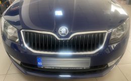 IMG_0778