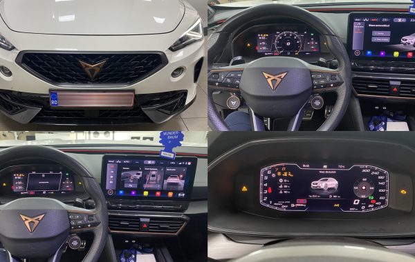 Calibrare Radar Distronic ACC Lane Assist Keyless Entry Brake Booster Cupra Formentor