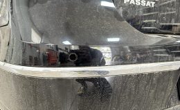 IMG_1880